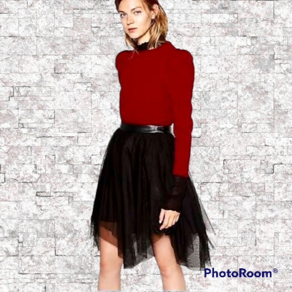 Zara Asymmetrical Puffy Skirt
